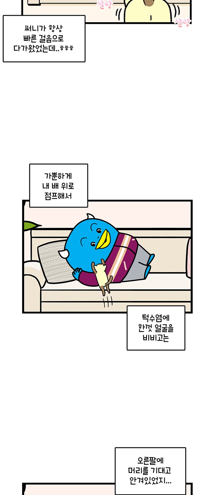 17 페이지