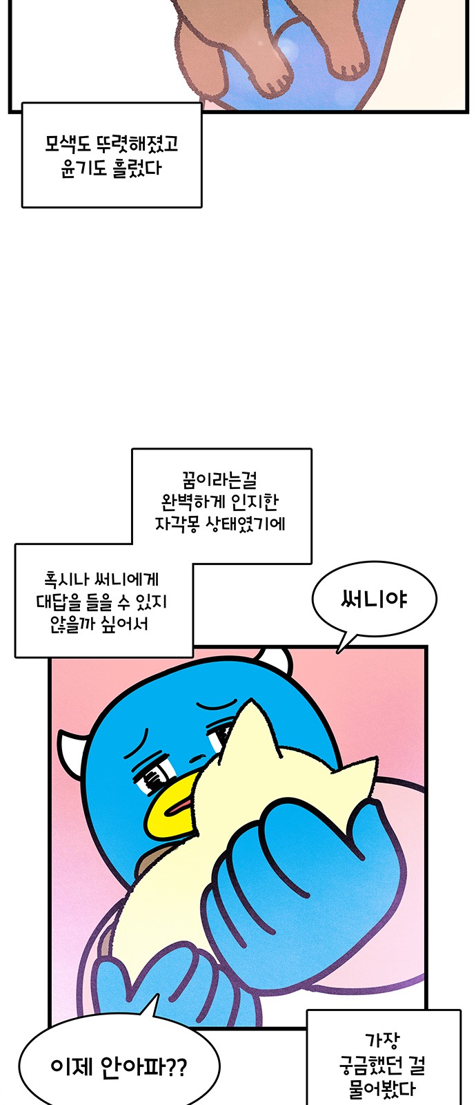 11 페이지