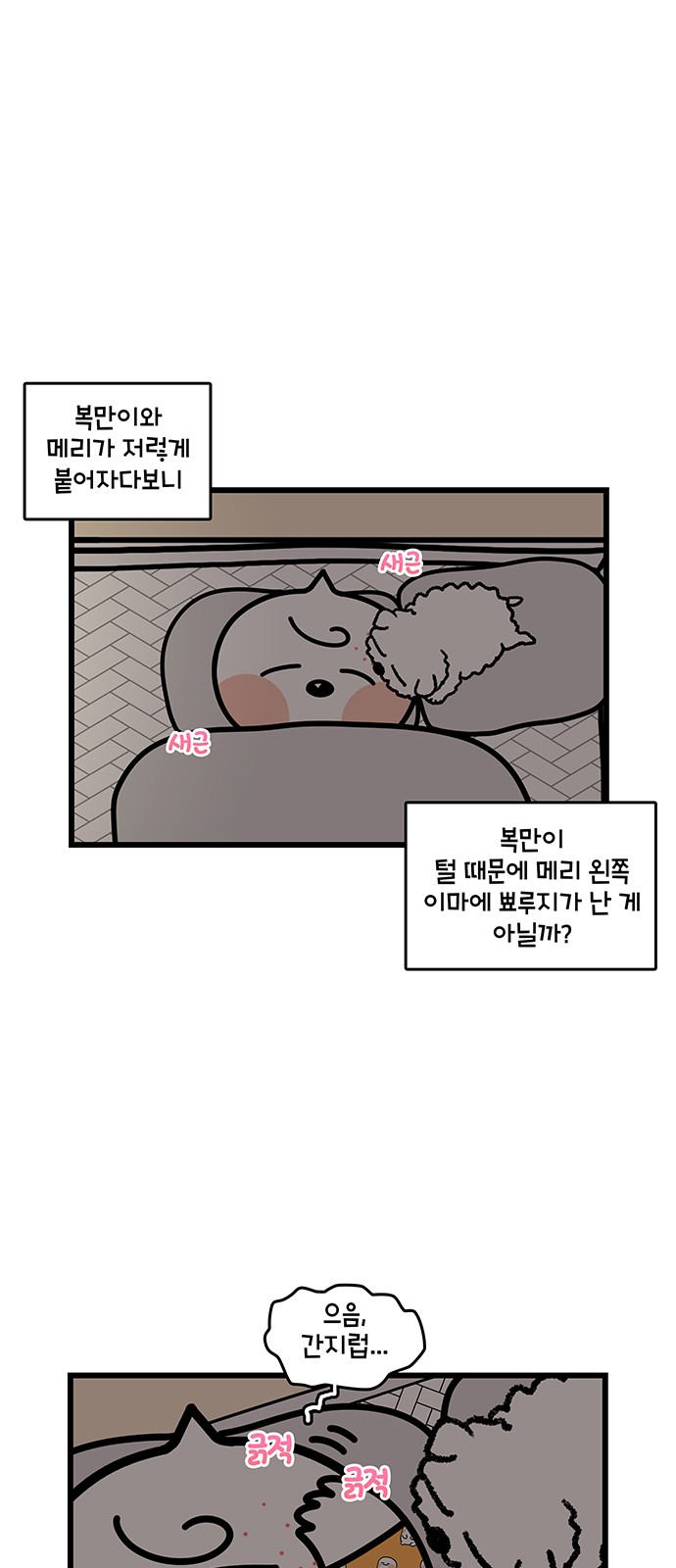 10 페이지