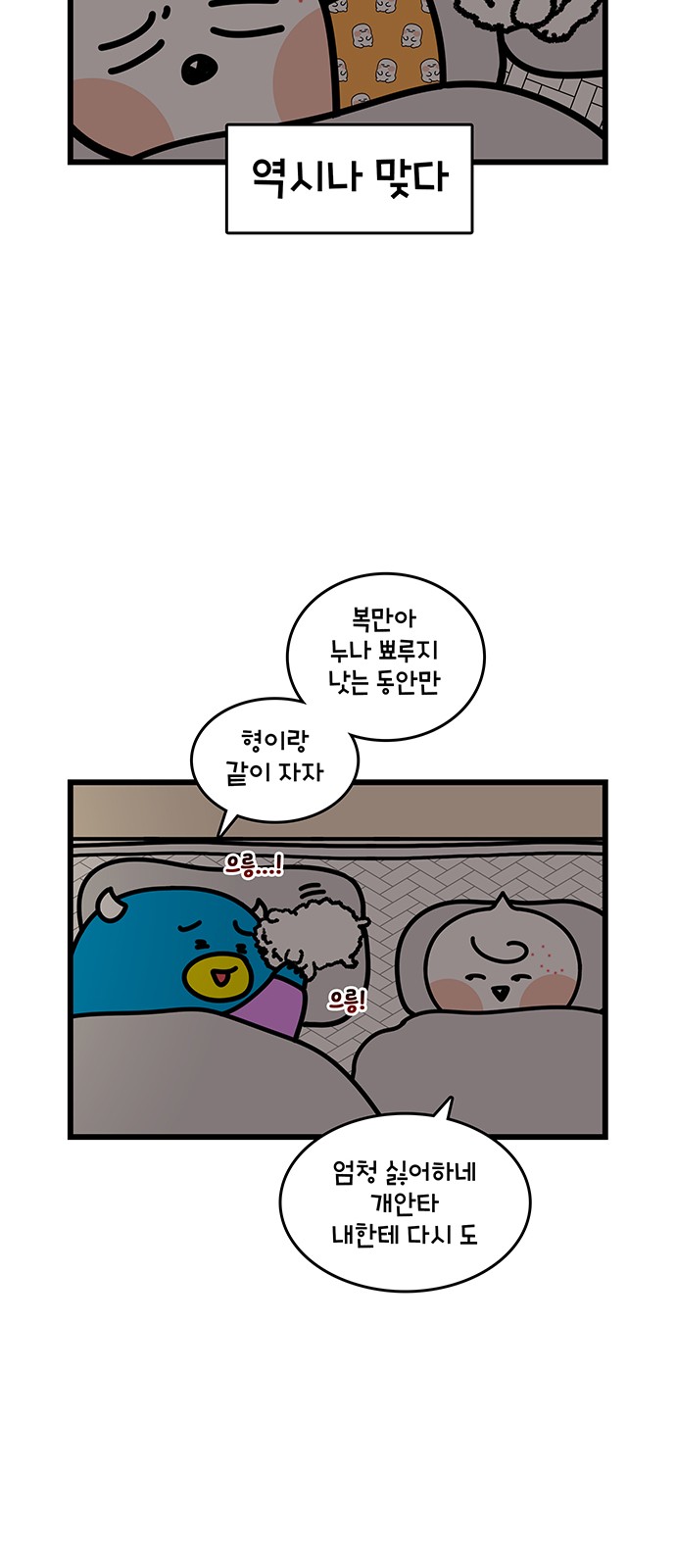 11 페이지