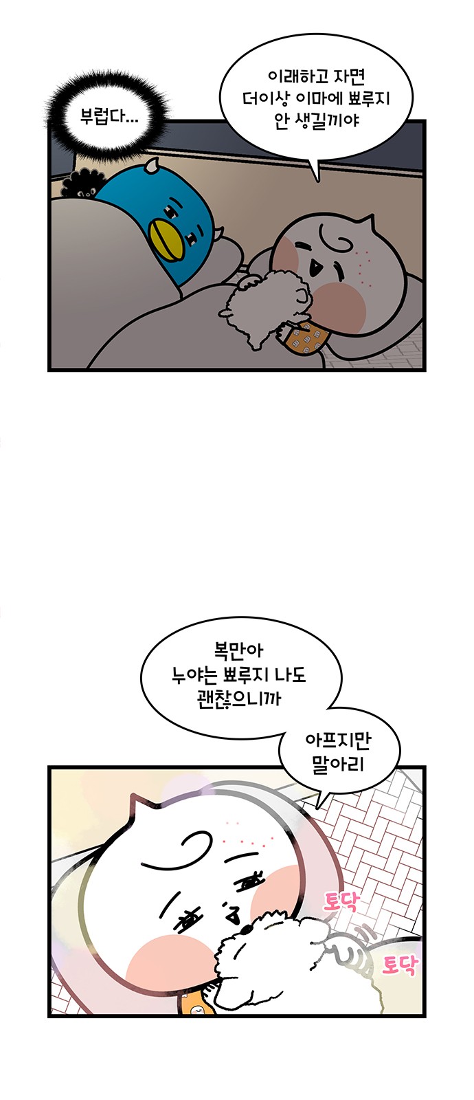 12 페이지