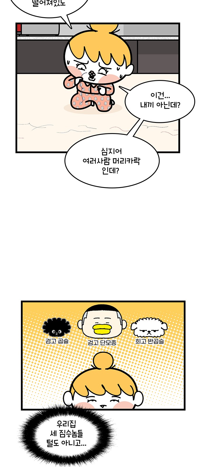 11 페이지
