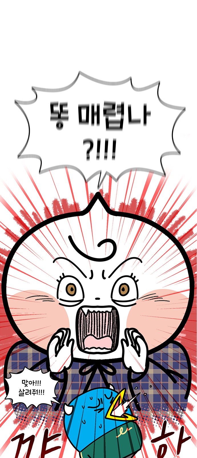 13 페이지