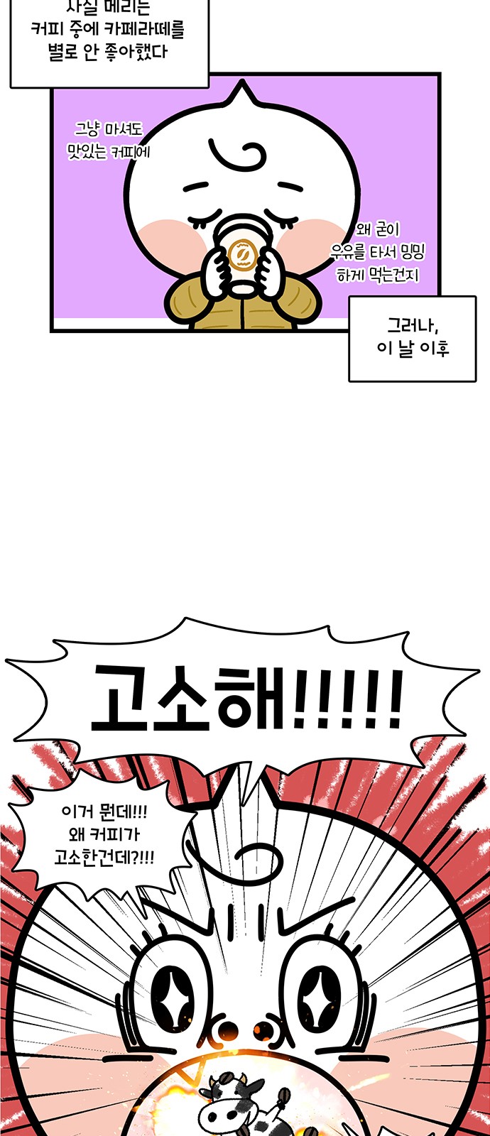 16 페이지
