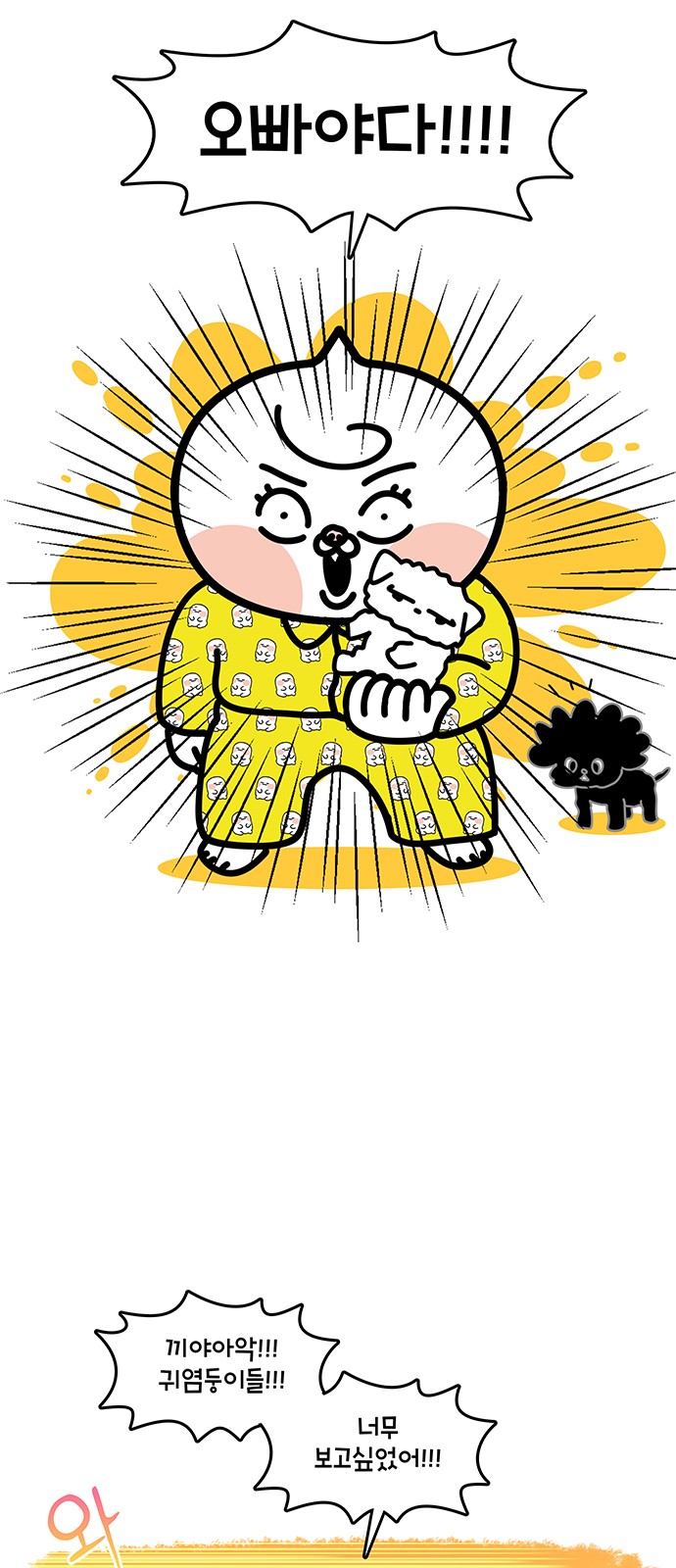 20 페이지