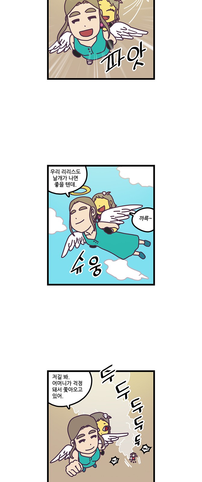 15 페이지
