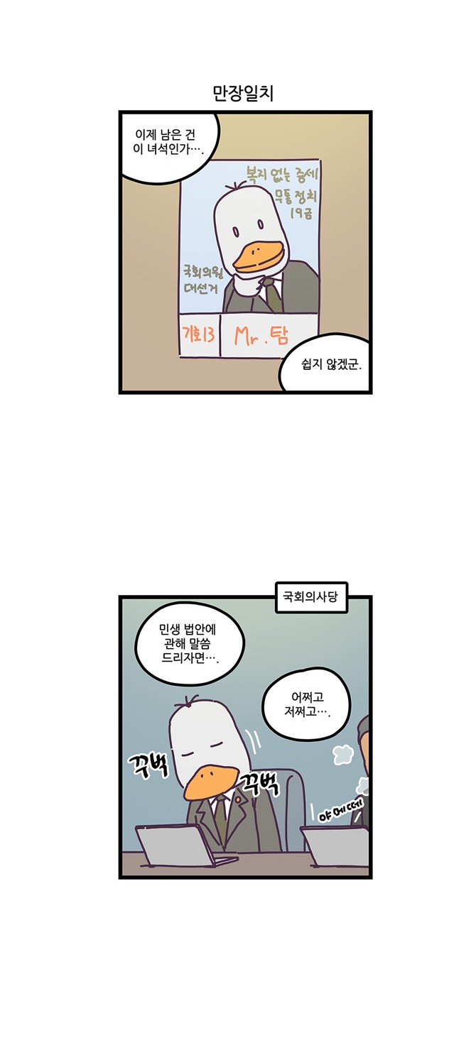 11 페이지