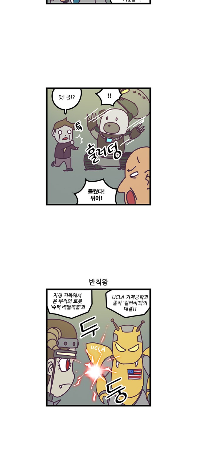 14 페이지