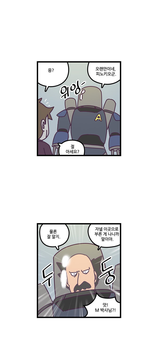 17 페이지