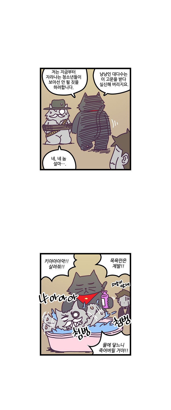 16 페이지