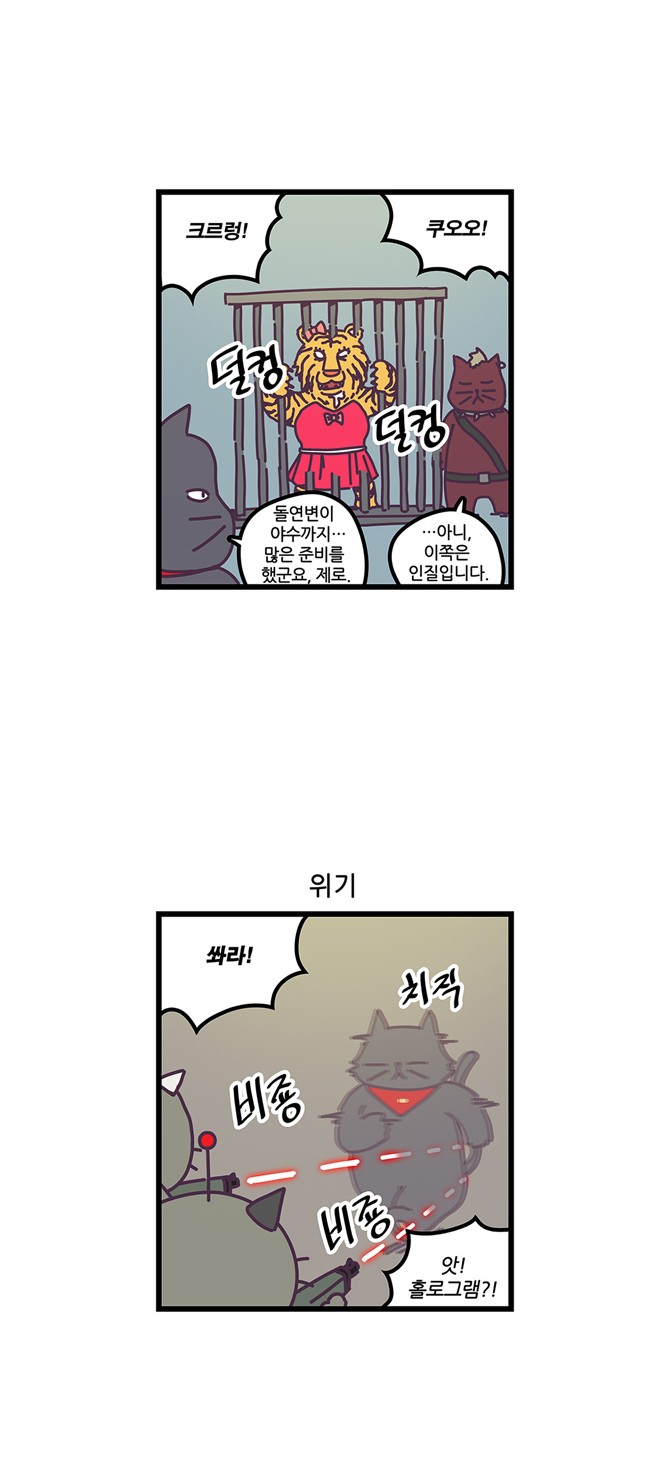 11 페이지