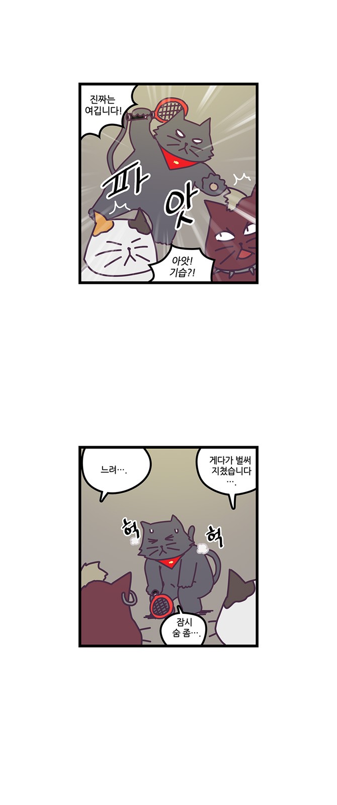12 페이지