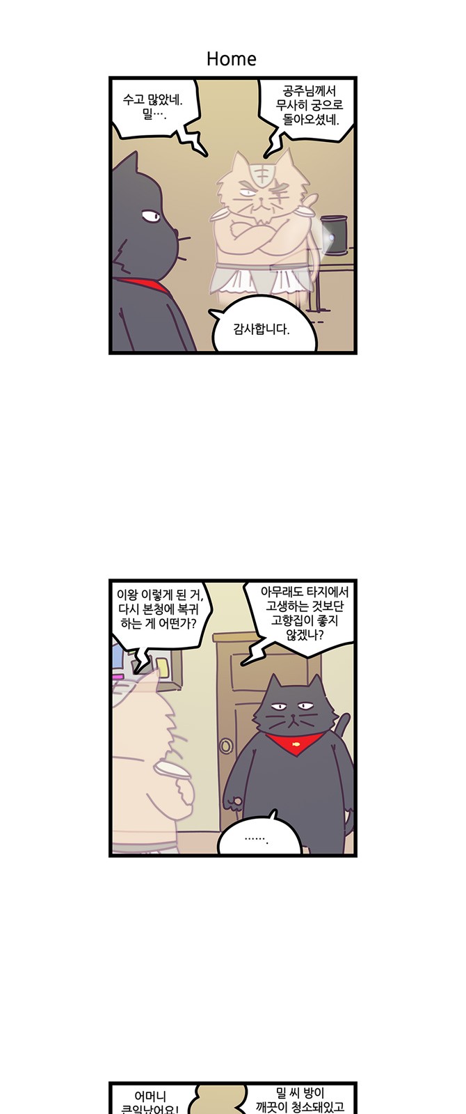 17 페이지