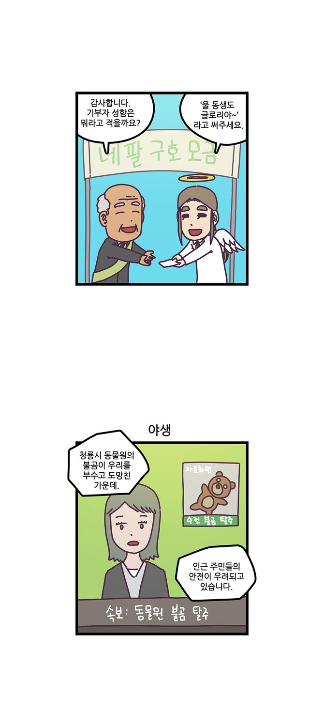 11 페이지