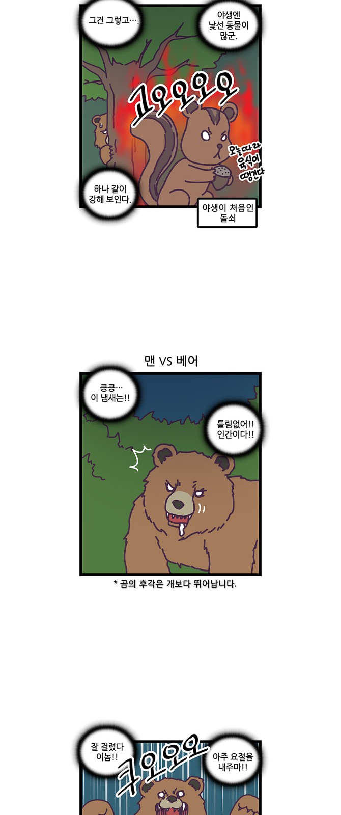 13 페이지