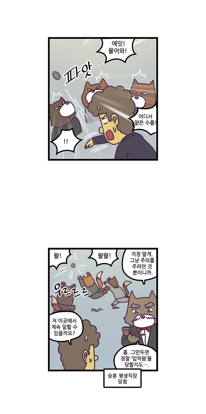17 페이지