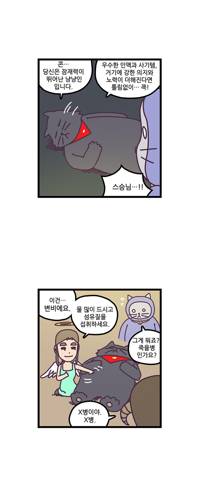 15 페이지