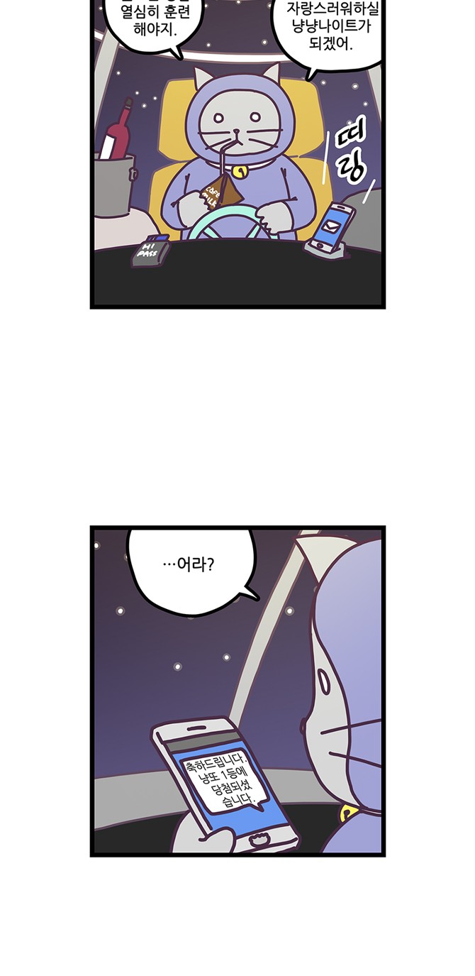 19 페이지