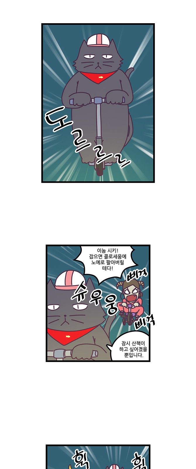 15 페이지