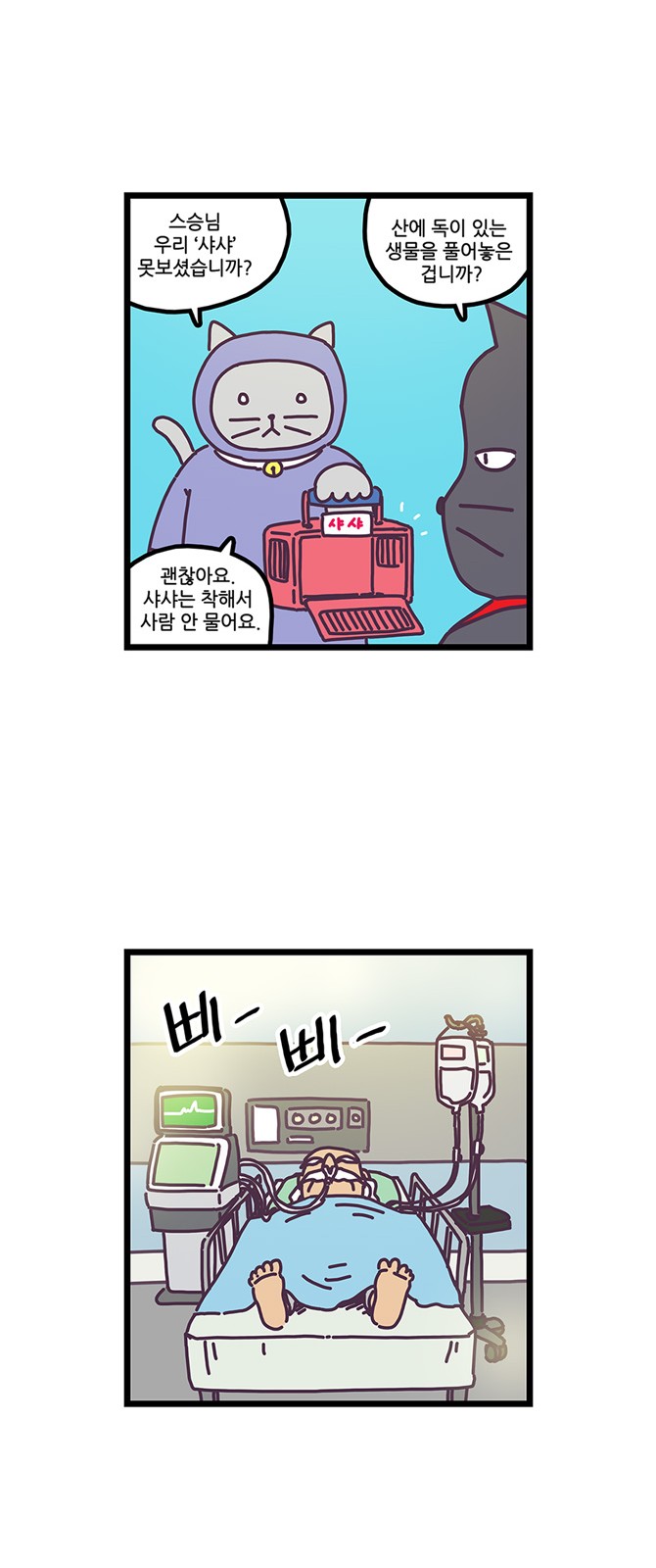 15 페이지
