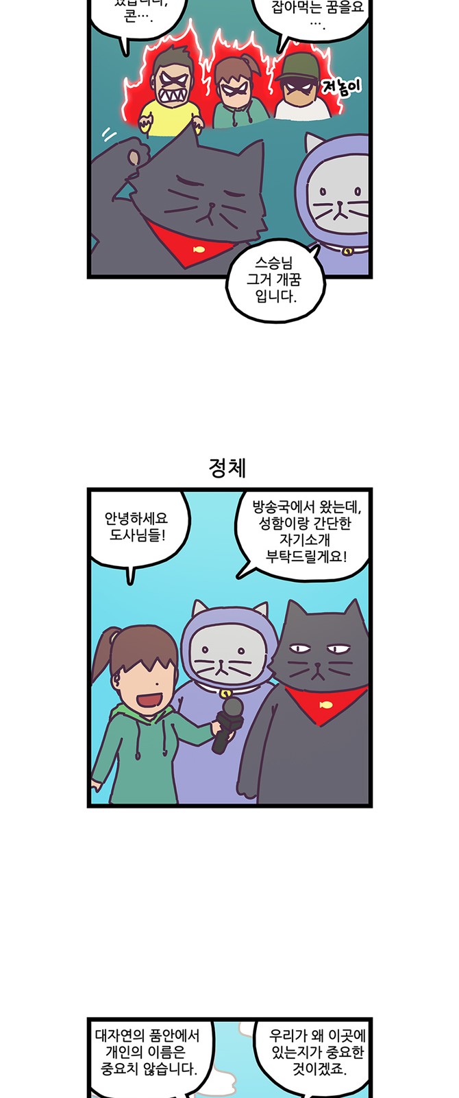6 페이지