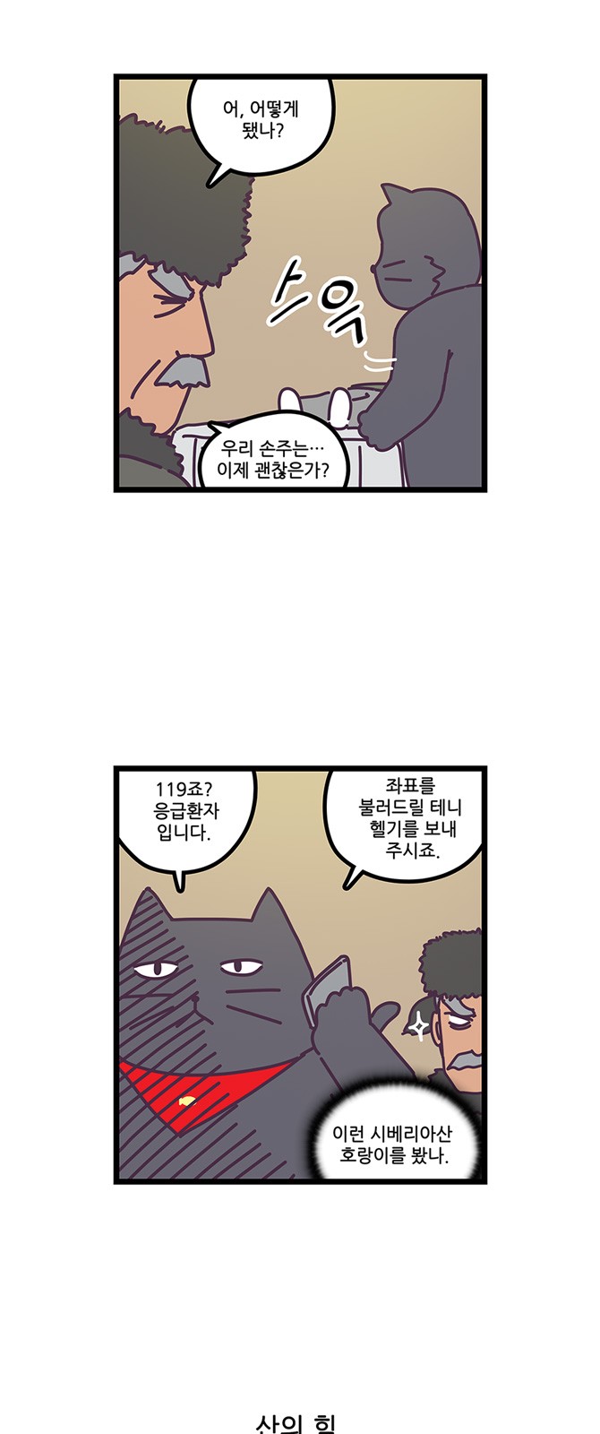 17 페이지
