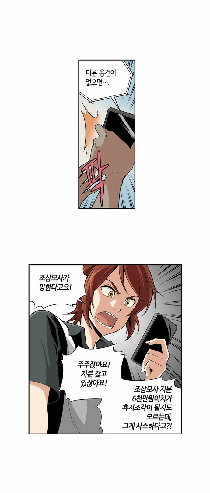 13 페이지