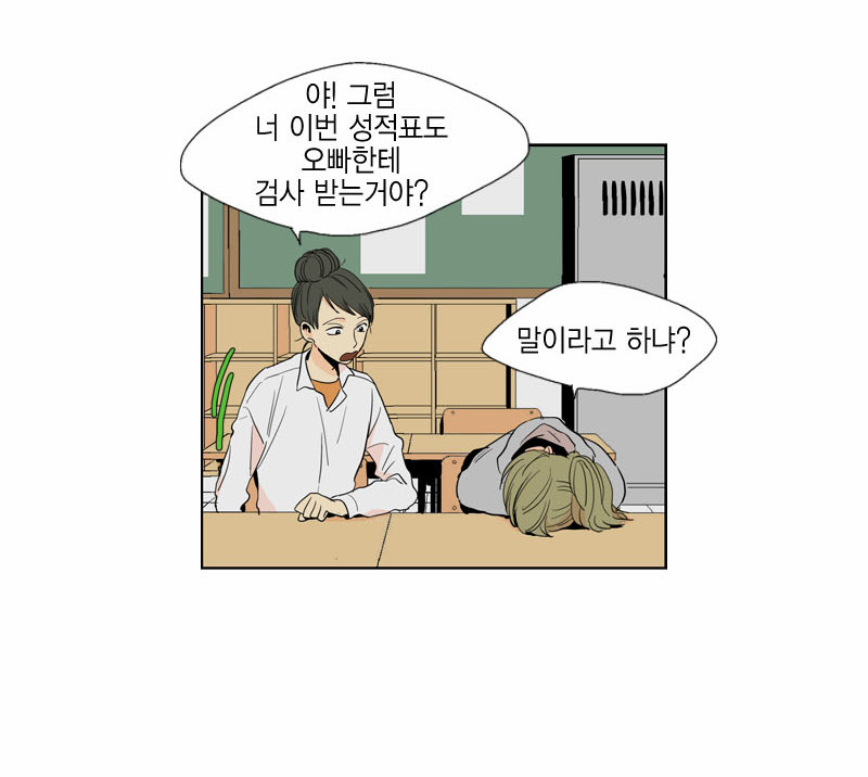 13 페이지