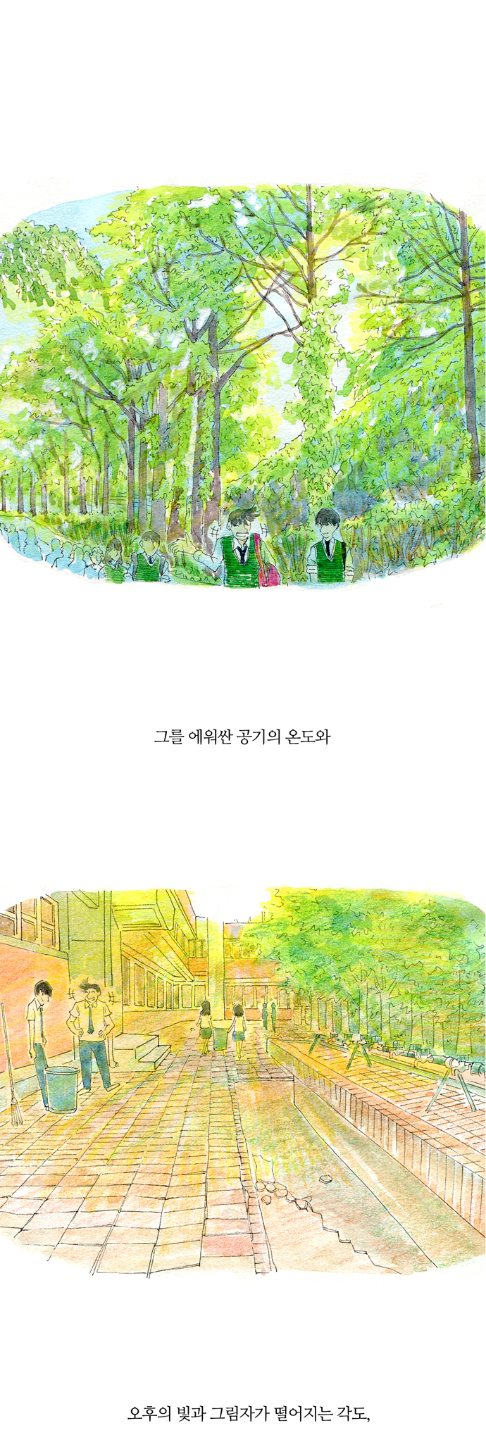 43 페이지