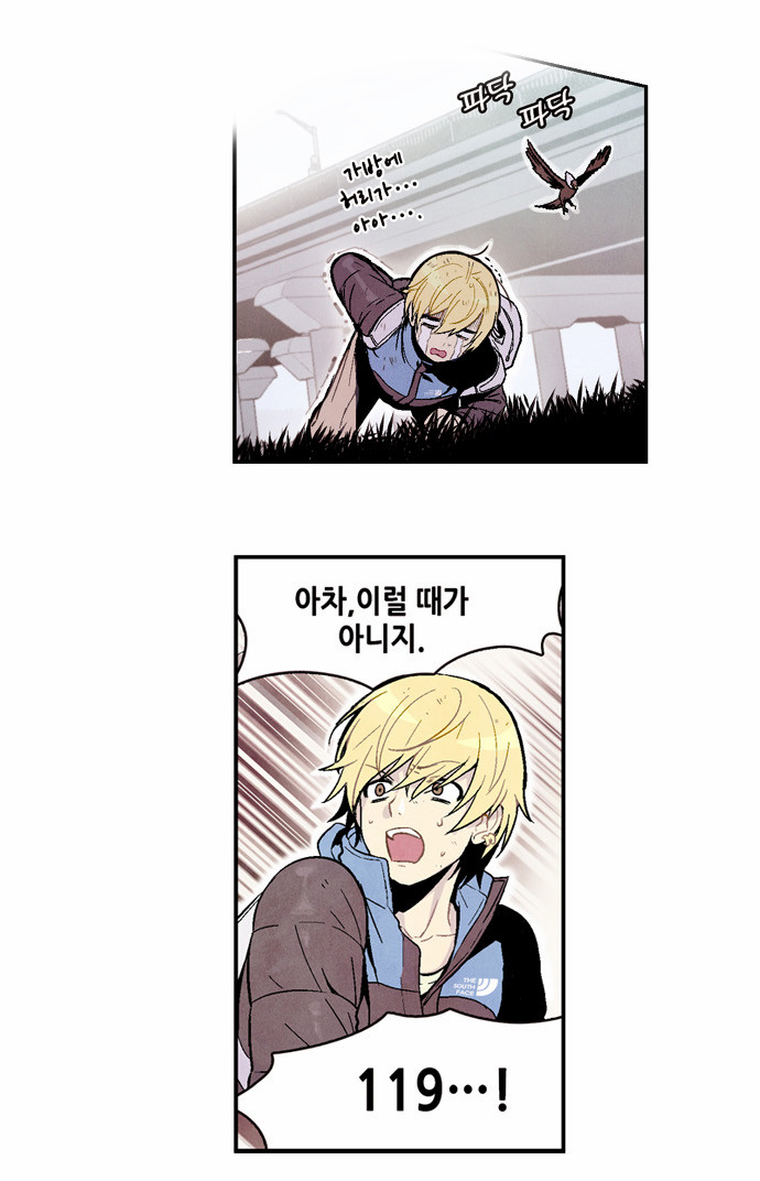 15 페이지