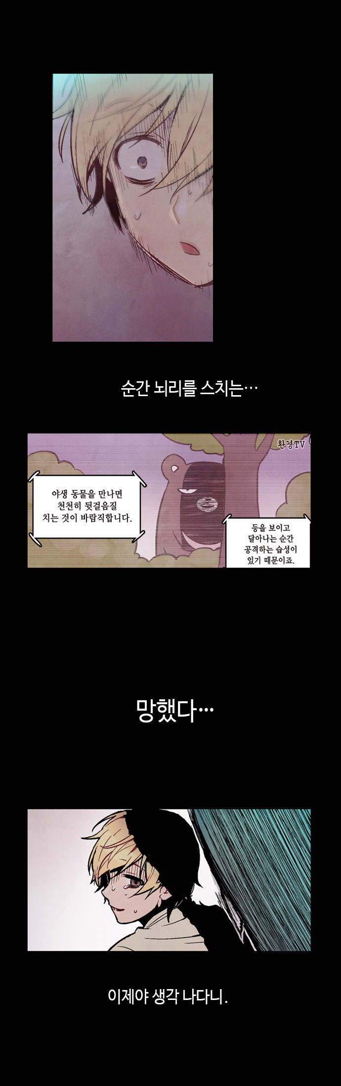 40 페이지
