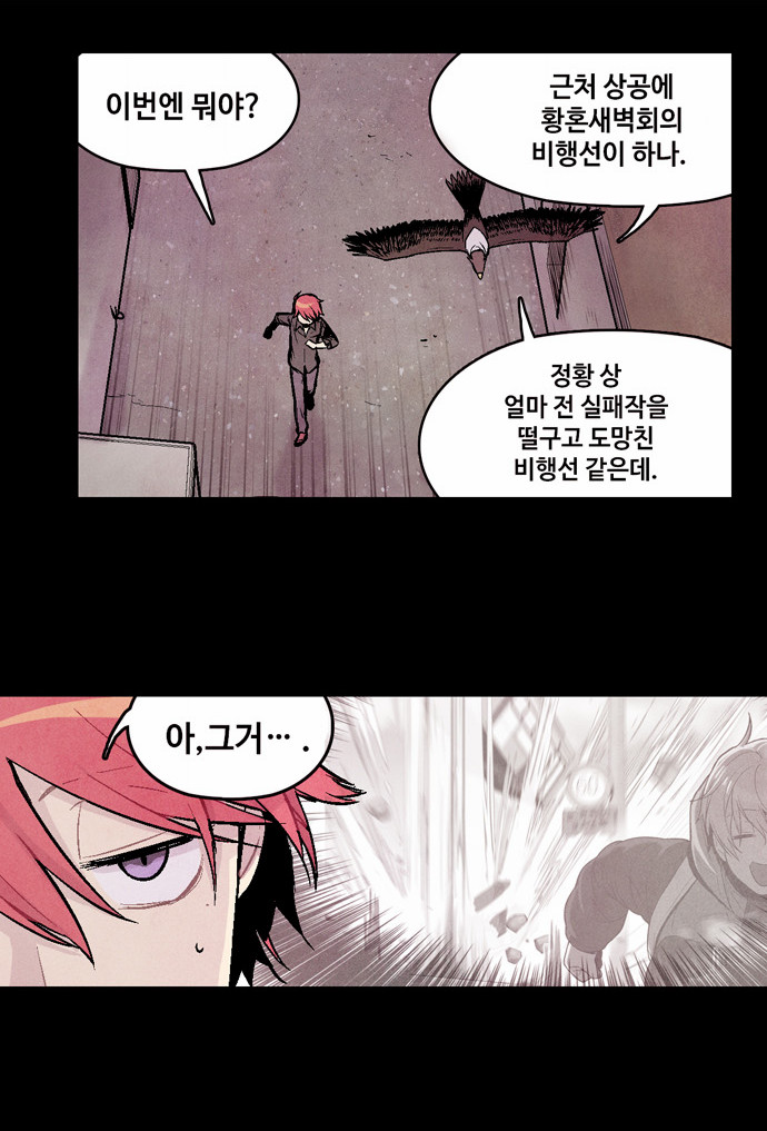 41 페이지