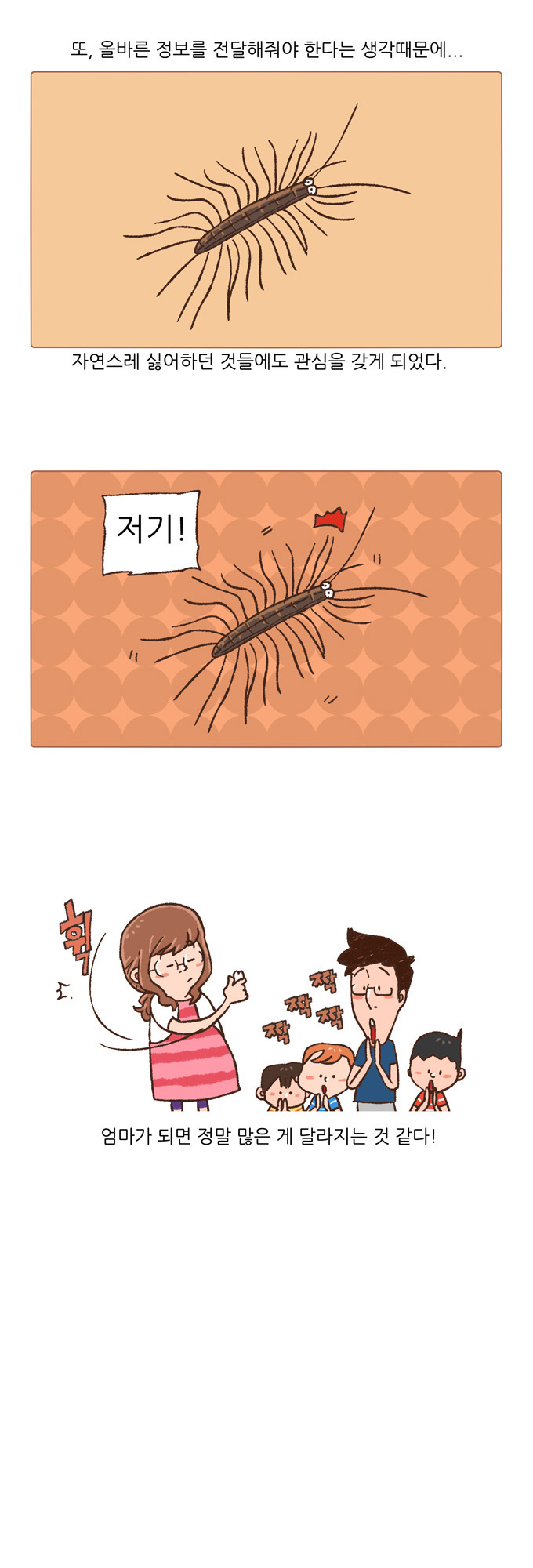 14 페이지