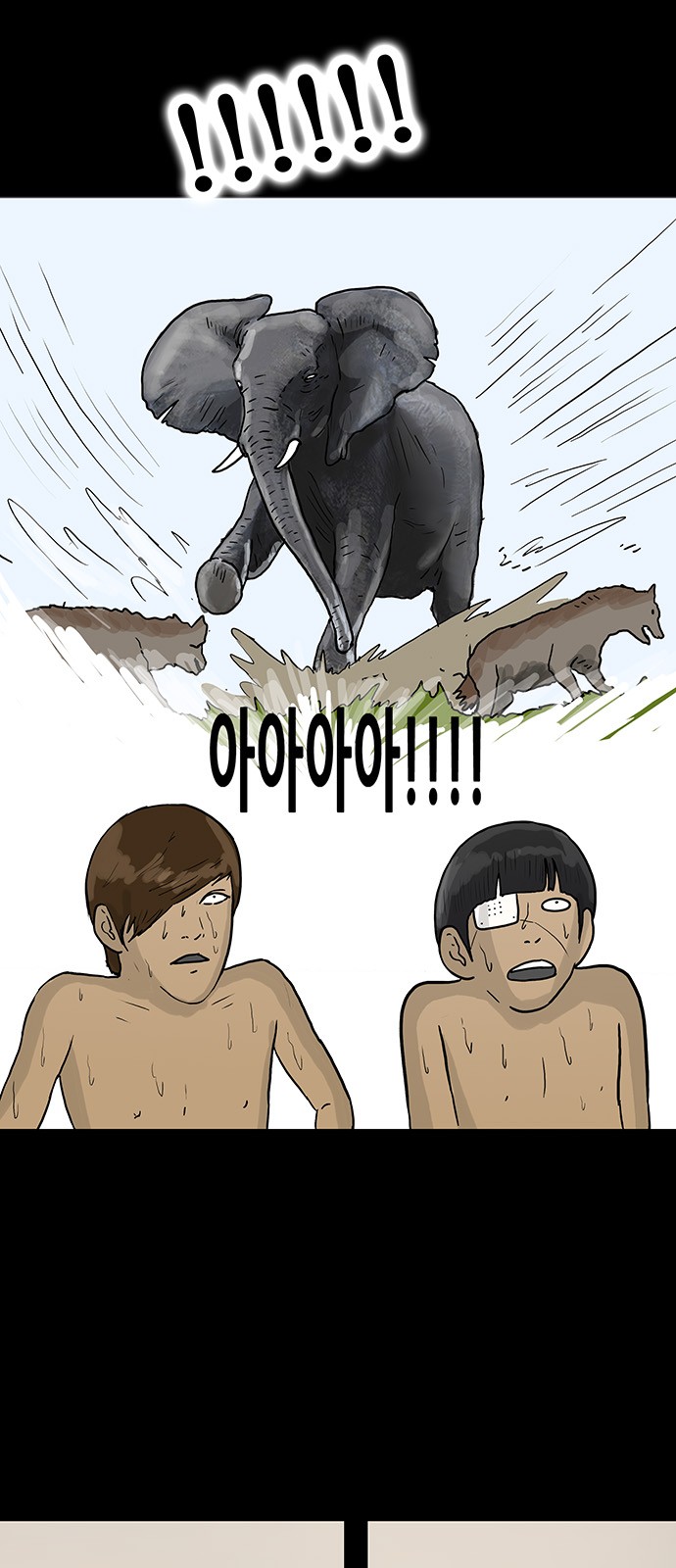 6 페이지