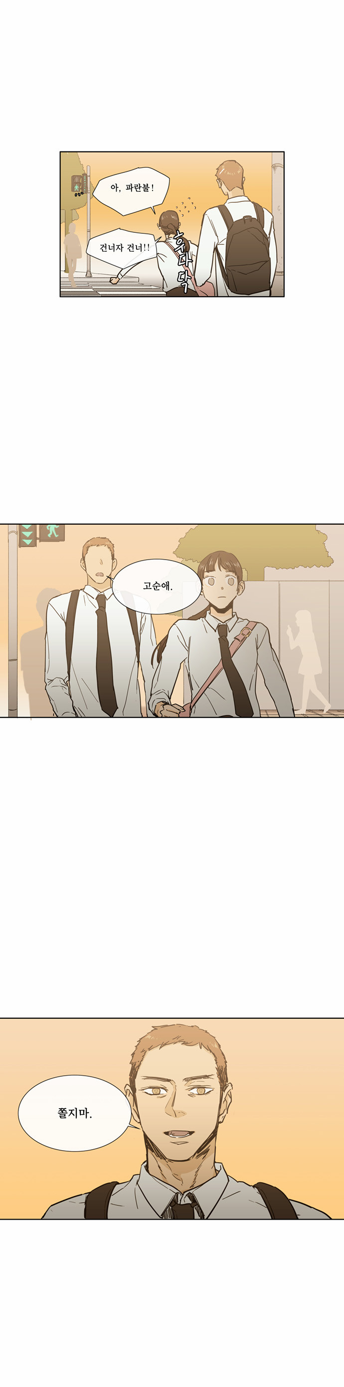 20 페이지