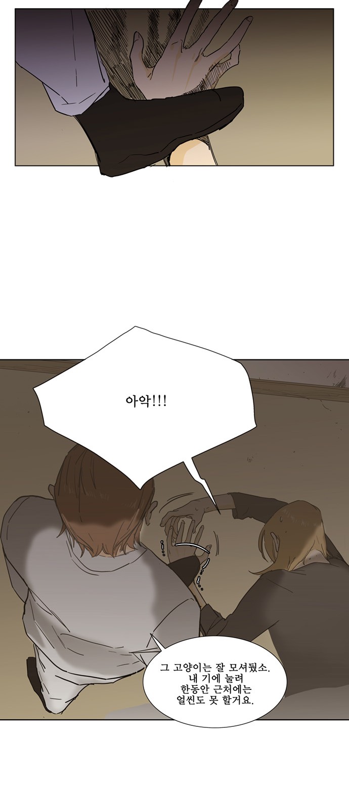 5 페이지