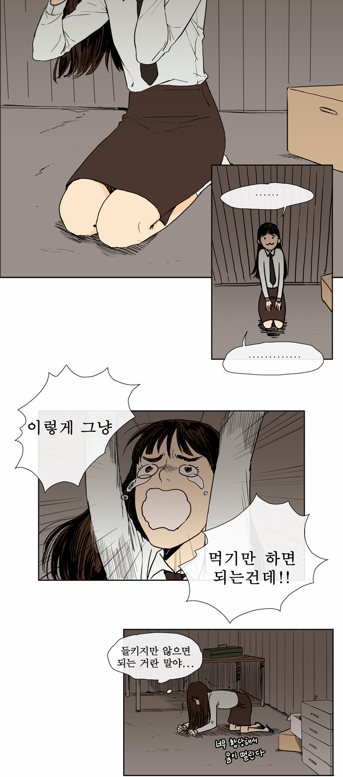 14 페이지