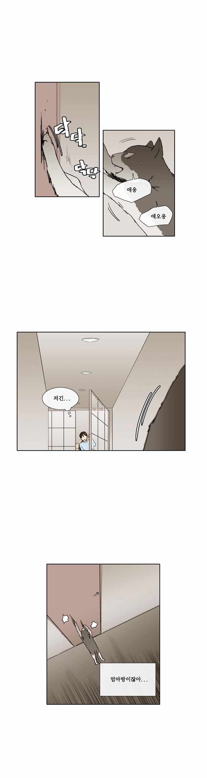 14 페이지