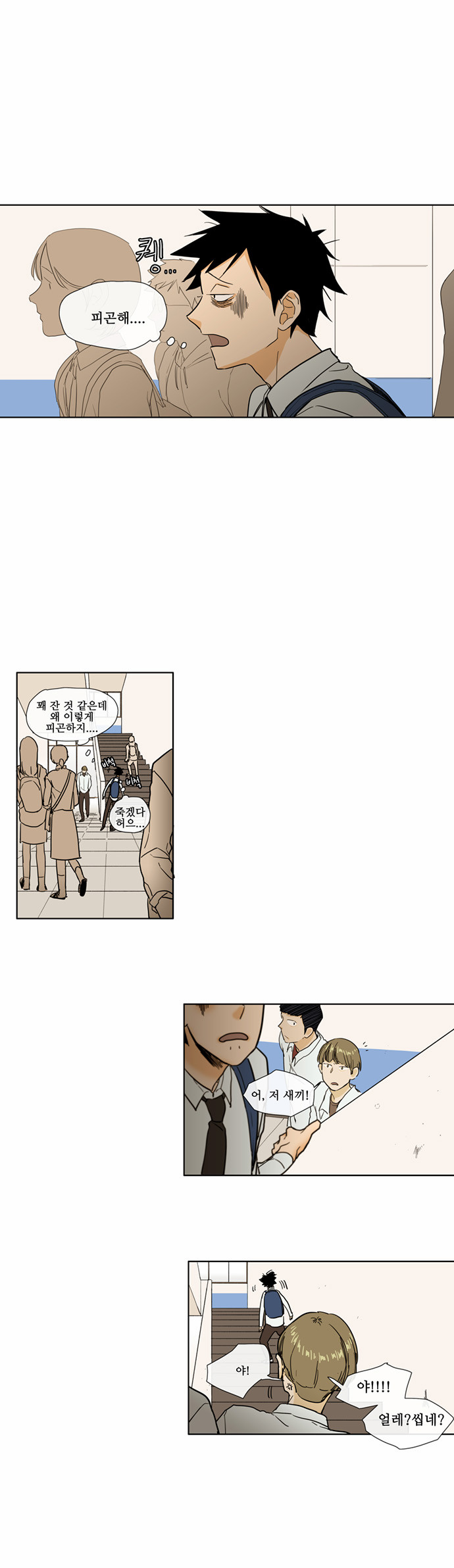 6 페이지