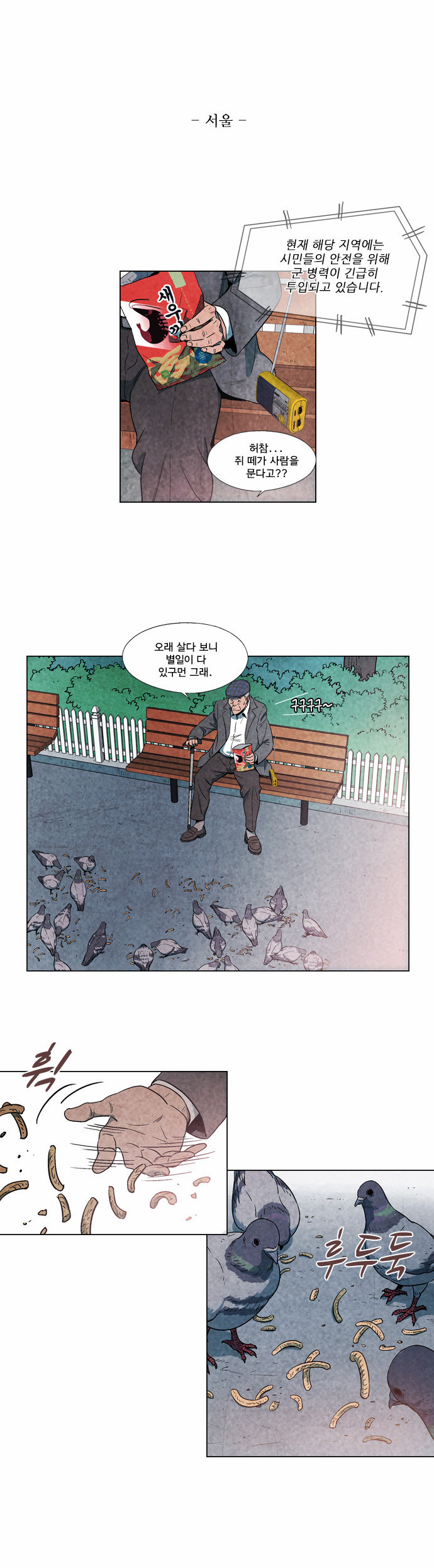 15 페이지