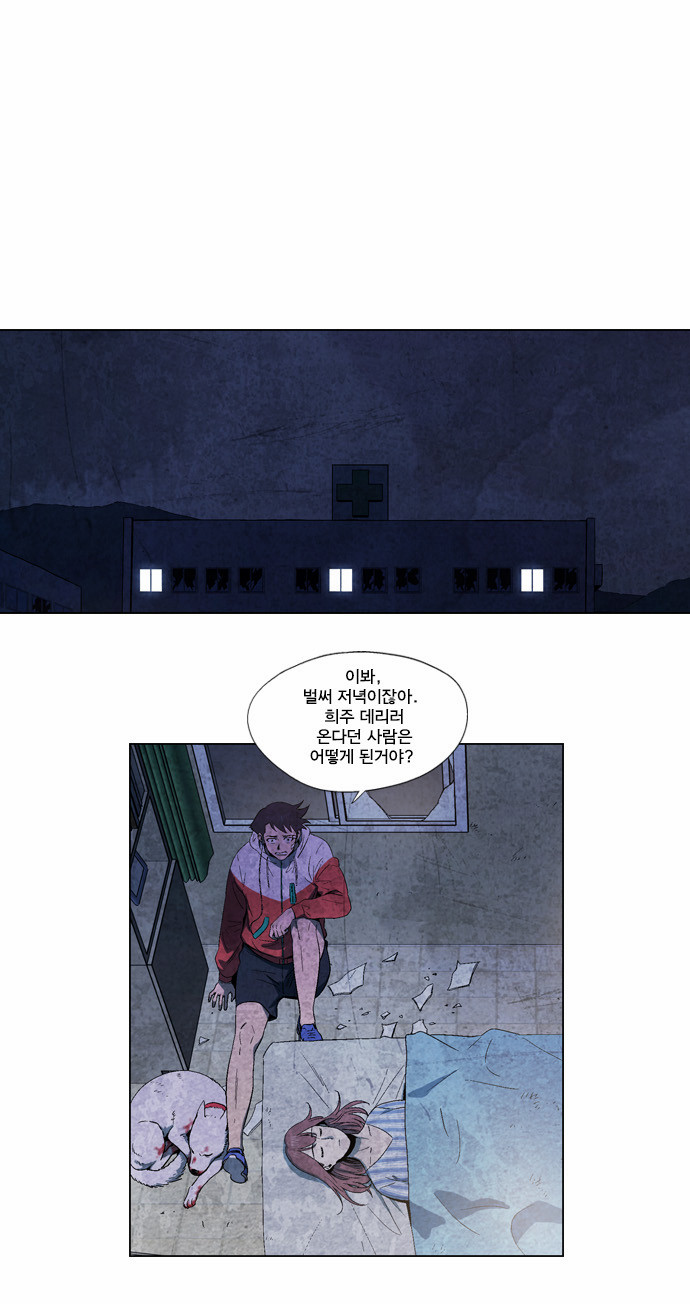 19 페이지