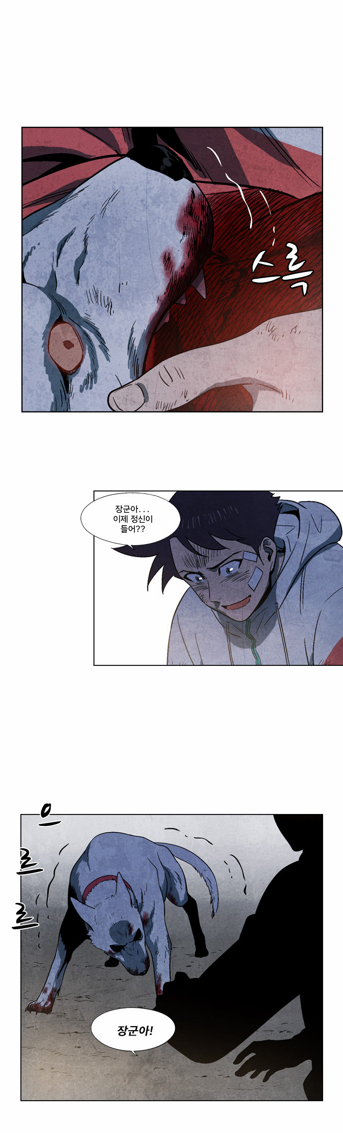 11 페이지