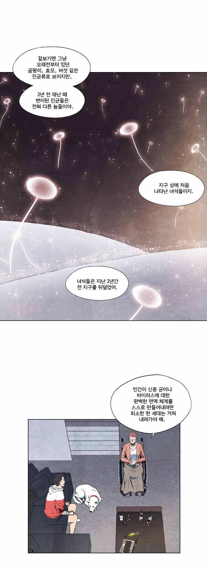 11 페이지