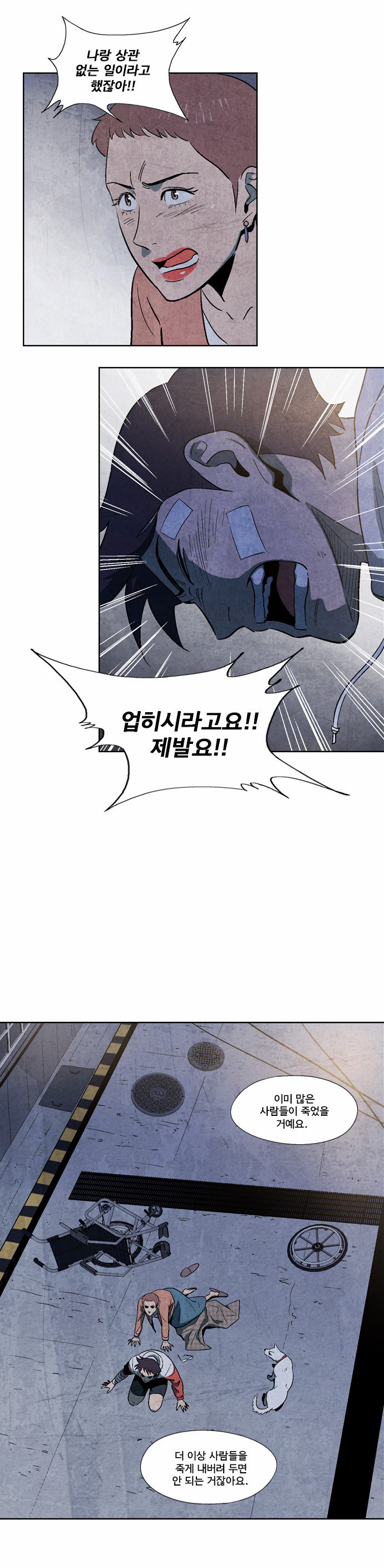31 페이지