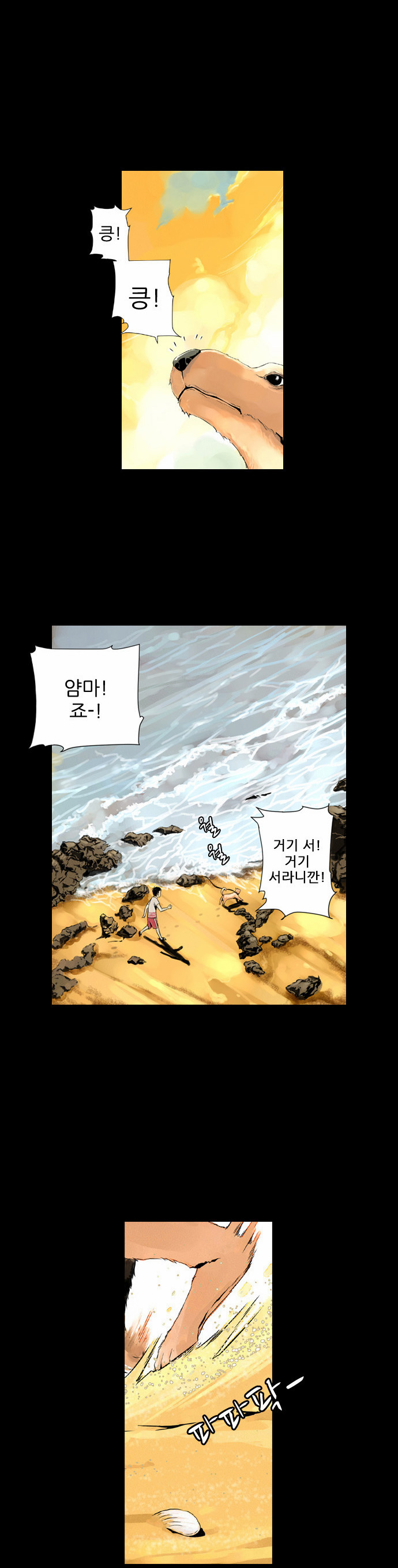 11 페이지
