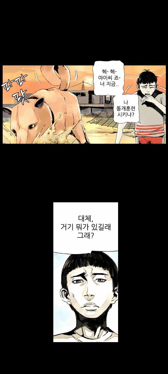 12 페이지
