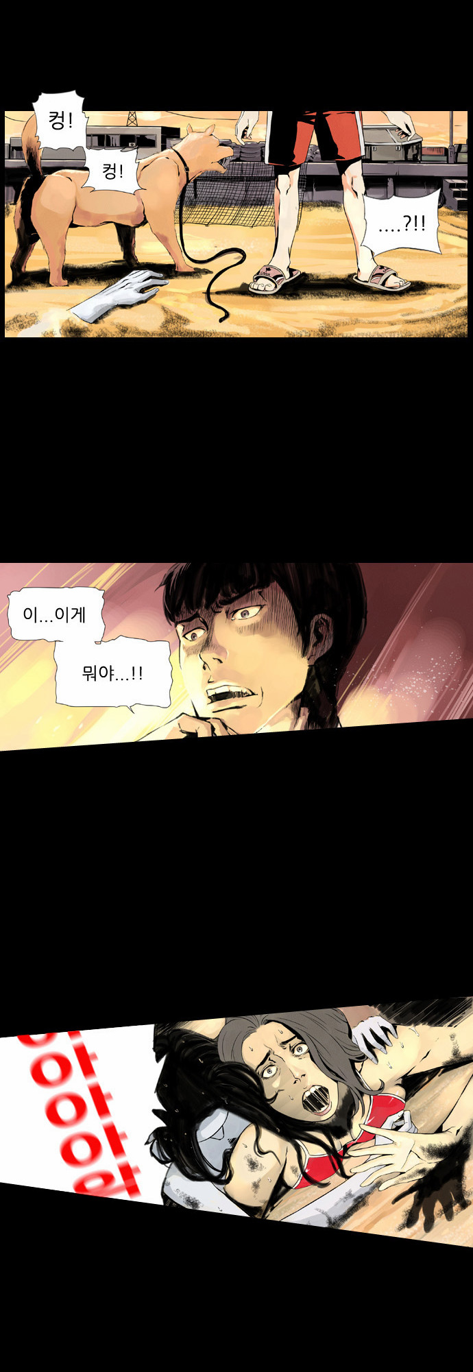 13 페이지