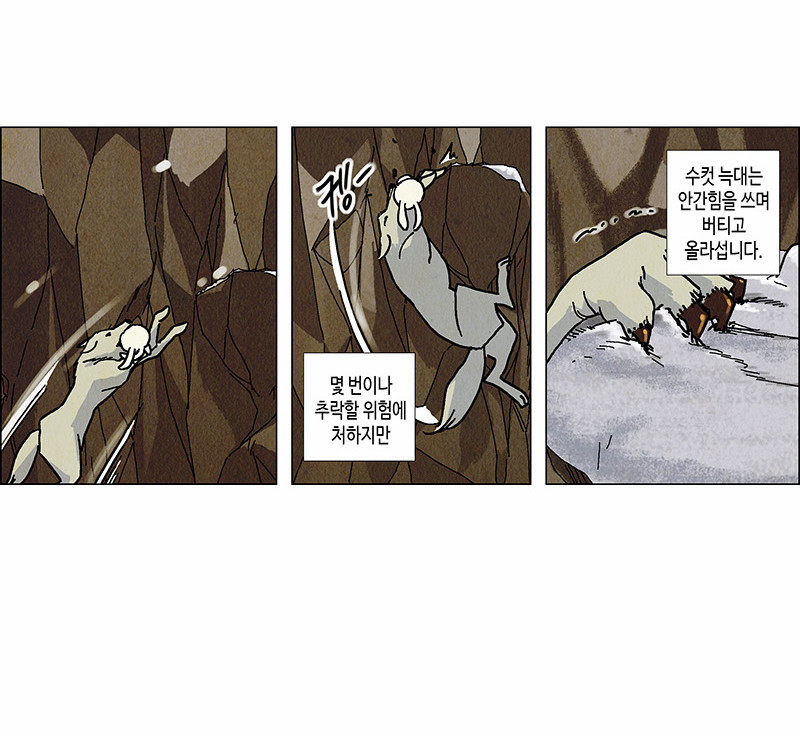 17 페이지
