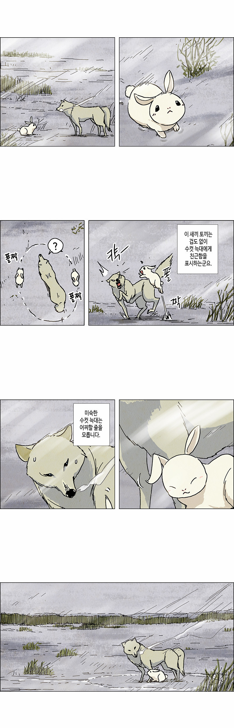 5 페이지