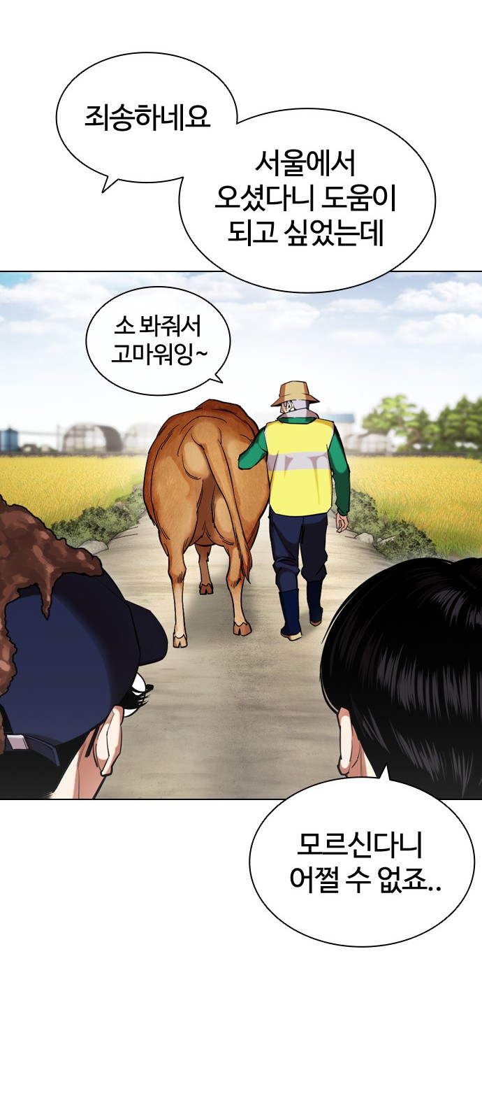50 페이지